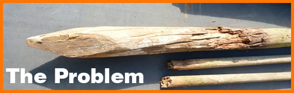 The Problem